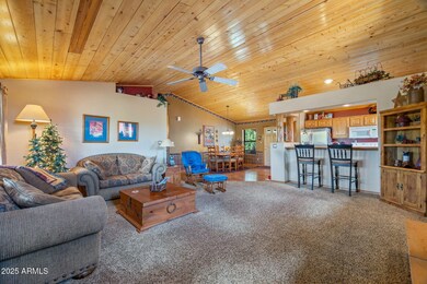 2664PalominoTrail-Overgaard-AZ-6