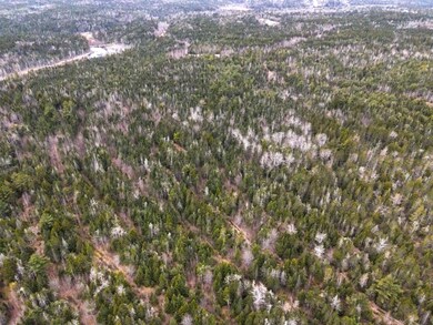DJI_0923