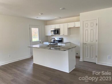 1009 Adams St, Statesville, NC 28677 - photo 5