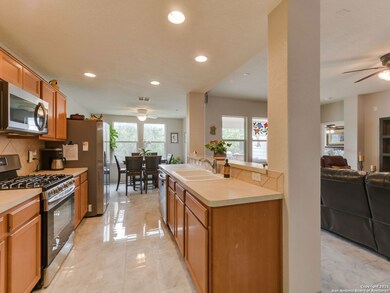 21910 Tower Terrace, San Antonio, TX 78259 - photo 7