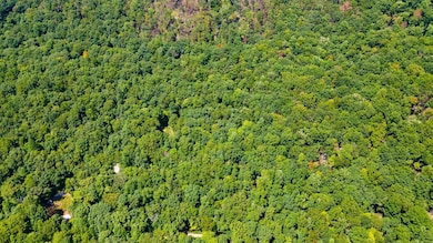 1 Woodcock Rd, Dunlap, TN 37327 - photo 4