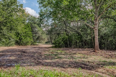 Tract 5 Sun Oil Rd, Brenham, TX 77833 - photo 4