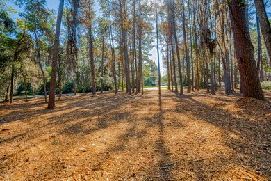 _DSC6810