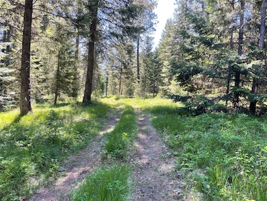 Nhn S Shore Dr, Trout Creek, MT 59874 - photo 5