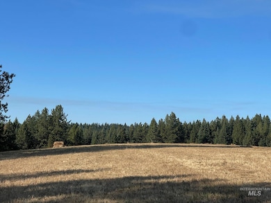181 Harris Ridge Loop, Kooskia, ID 83539 - photo 4