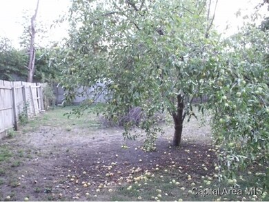 230 N Front St, Virginia, IL 62691 - photo 4