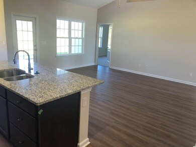 156 Lakota Loop unit Lot 46 Hatteras Floo, Longs, SC 29568 - photo 5