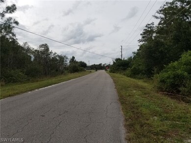 416 Conlee St, Lehigh Acres, FL 33974 - photo 5