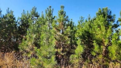 Dyerock Rd, Donaldson, AR 72104 - photo 5