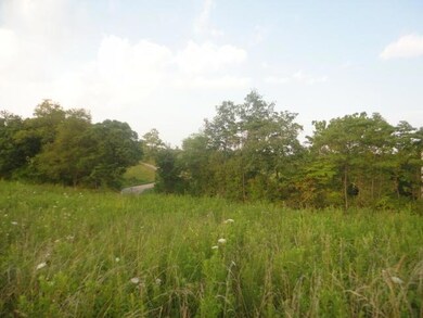 tract 5 looking onto road