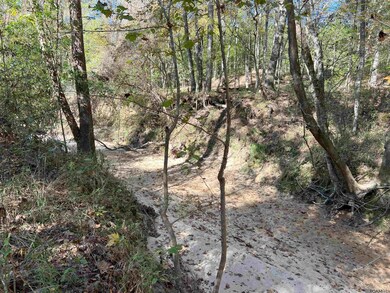 TBD (W. 180 Ac) Tunica Trace, St. Francisville, LA 70775 - photo 6