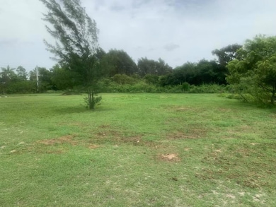 12398 Tangerine Blvd, West Palm Beach, FL 33412 - photo 4