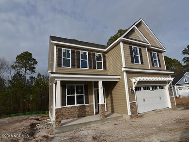 61 Huckleberry Ct