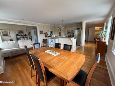 33 Maplewood Ave unit 305, Pittsfield, MA 01201 - photo 5