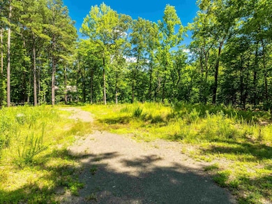 000 Evan Way, Royal, AR 71968 - photo 6