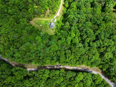 Tract 2 Century Ln, Blue Ridge, GA 30513 - photo 7