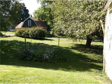 Yard/Garden. Apple Trees and Grapes