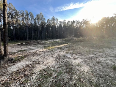 14333 Springfield Rd, Walker, LA 70785 - photo 5