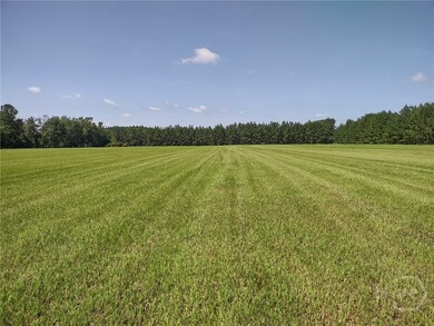 680 Porter's Landing Rd unit LOT 1, Clyo, GA 31303 - photo 6