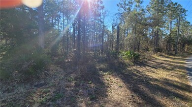 166 Daisy St, Homosassa, FL 34446 - photo 3