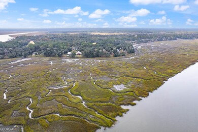 0 Sutherland Bluff Dr NE unit 10656238, Shellman Bluff, GA 31331 - photo 5