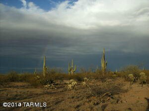 Holy Trinity of Sonoran Nature