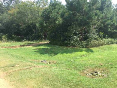 4 Hickory Ln unit 4, Mount Olive, MS 39119 - photo 4