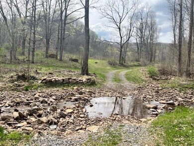 362 Band of Hope Rd unit Tract 1, Renick, WV 24966 - photo 4