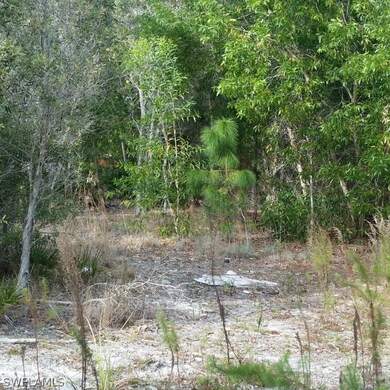 11911 Oakland Dr, Pine Island Center, FL 33922 - photo 4