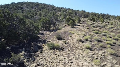 20202016v No Name Rd, Williams, AZ 86046 - photo 6