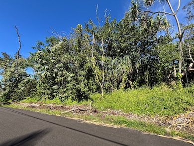 0 Oopu St unit 726165, Hawaiian Beaches, HI 96778 - photo 6