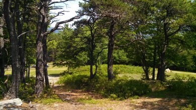 Trail through lot looking east