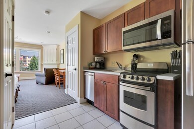 111 Jackson Gore Rd unit 209 QTR IV, Ludlow, VT 05149 - photo 4