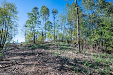 3887 Hwy 140 NE, Rydal, GA 30171 - photo 2