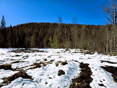 Lower Home Site