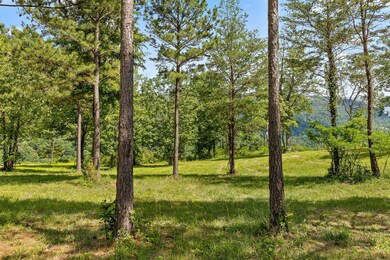 0 Sunset Cir unit 1505065, Jasper, TN 37347 - photo 5