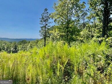 59 Seven Mile Creek Rd, Ellijay, GA 30175 - photo 7