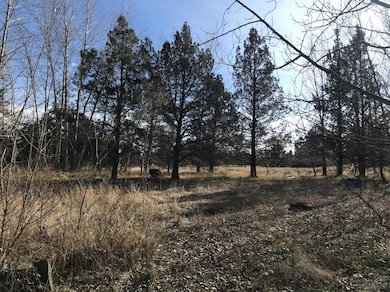 4402 SW Lava Ave, Redmond, OR 97756 - photo 5