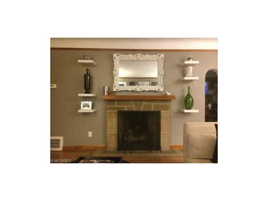Living Room fireplace