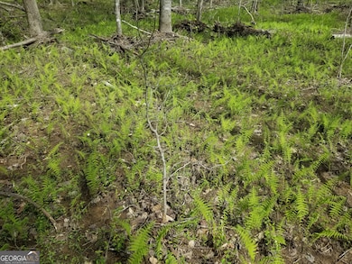 0 Susie Pope Rd unit 10499156, Buchanan, GA 30113 - photo 4