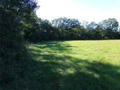 1110 Field Store Rd, Waller, TX 77484 - photo 2