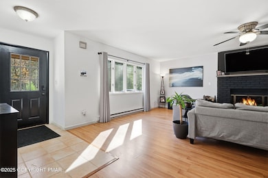 104 Scotch Pine - LR3