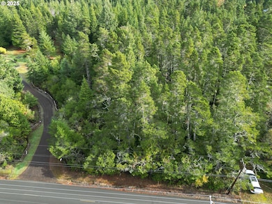 0 Prosper Junction Rd, Bandon, OR 97411 - photo 2