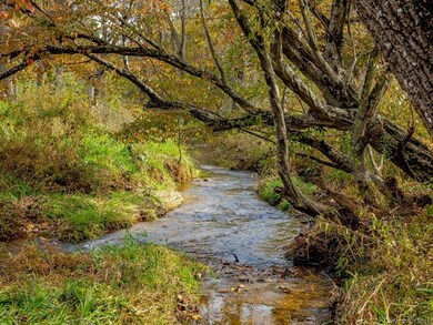 50 Juno Dr, Asheville, NC 28806 - photo 6