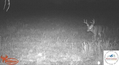 00 Tavern Creek Rd, Iberia, MO 65486 - photo 6