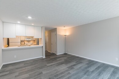Great Room/Kitchen