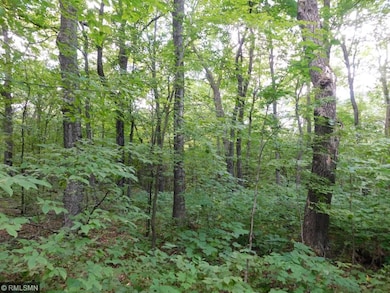 Mature aspens, oaks, and other important food sour