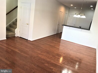 42603 Hollyhock Terrace, Ashburn, VA 20148 - photo 7