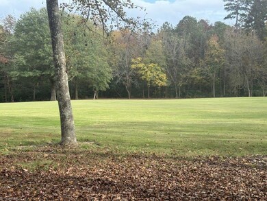 Golf Course View