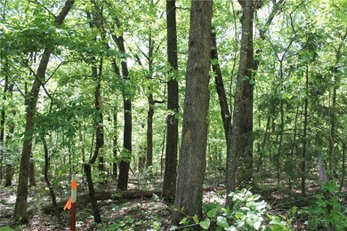 unlisted-address, Elkins, AR 72727 - photo 2